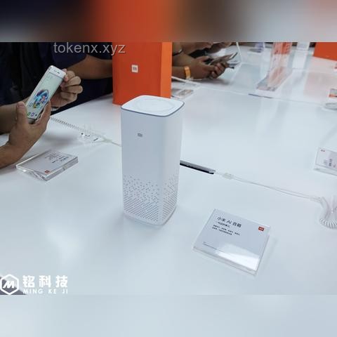 AI在家电领域的应用与融入策略，实用价值解析